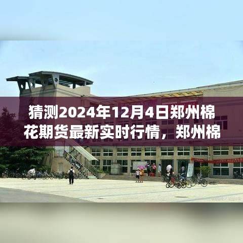 2024年郑州棉花期货市场预测，探寻未来行情脉搏的最新实时行情分析