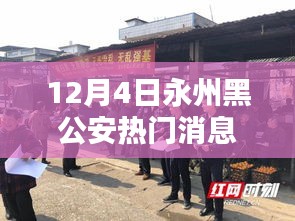 永州黑公安揭秘，获取最新资讯与应对步骤指南（12月4日更新）