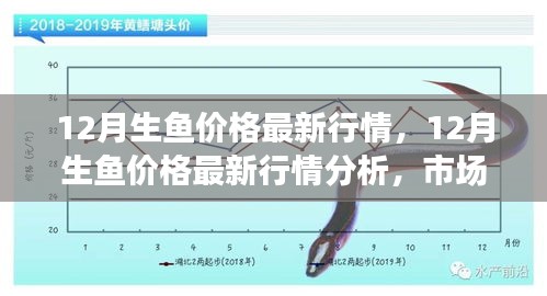 12月生鱼价格最新动态，市场走势分析与多方观点探讨