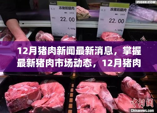 12月猪肉市场动态，最新消息、全方位解读与应对指南