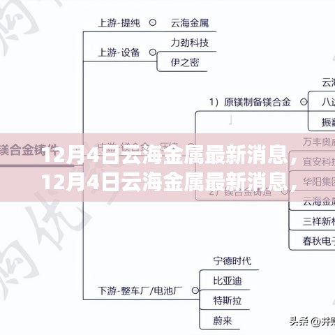 云海金属最新动态揭秘，探索行业前沿，洞悉发展动态