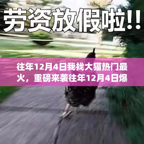 领略未来科技魅力，12月4日爆款大猫科技新品重磅来袭，改变生活品质