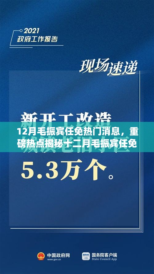 揭秘毛振宾十二月任免新动向，深度解析背后的原因与热点热议