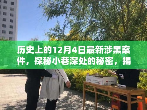 揭秘历史涉黑案件与特色小店背后的神秘缘分，探秘小巷深处的秘密故事在十二月四日揭晓