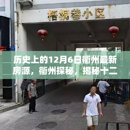 揭秘衢州隐藏房源与特色小店，十二月六日的探秘之旅