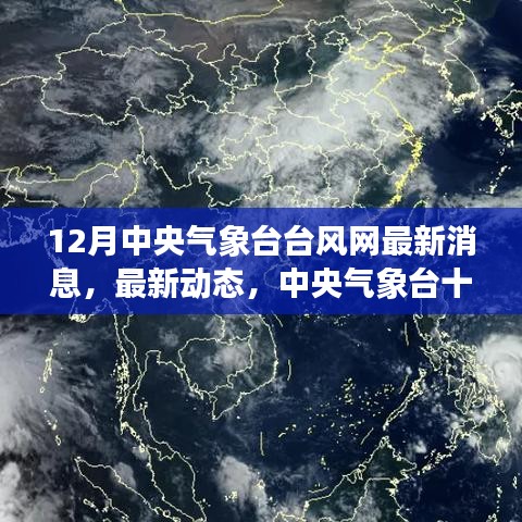 中央气象台最新台风动态，十二月天气预报更新及台风网最新消息