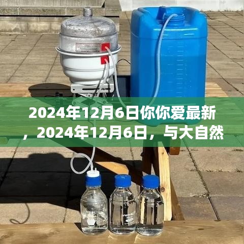 2024年12月6日你你爱最新，2024年12月6日，与大自然共舞，开启你的心灵之旅