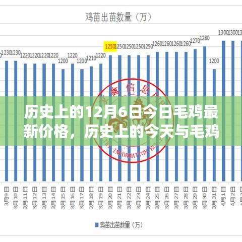 历史上的今天与毛鸡最新价格，学习变化的力量与自信的滋养，探寻毛鸡价格变迁背后的故事与成长力量。