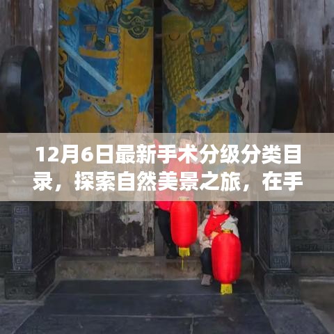 12月6日手术分级分类目录新探，自然美景之旅，探寻内心宁静的启程之路