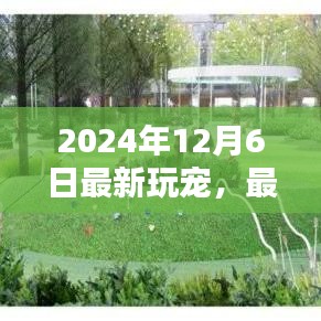 揭秘最新潮流宠物，2024年12月6日潮流宠物的崛起