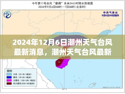 潮州台风最新消息，多维度视角下的深度分析与解读