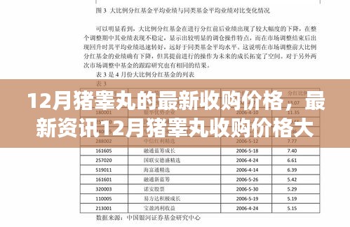 揭秘，最新资讯！12月猪睾丸收购价格走势大解析