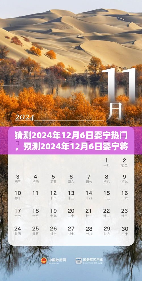 2024年12月6日婴宁热门趋势预测，前景展望与深度分析