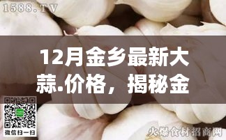 揭秘金乡大蒜市场，最新动态与价格走势分析，12月大蒜价格一览