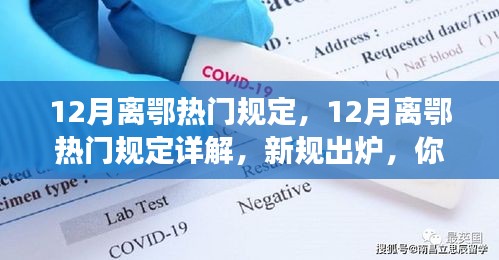 12月离鄂热门规定，12月离鄂热门规定详解，新规出炉，你准备好了吗？