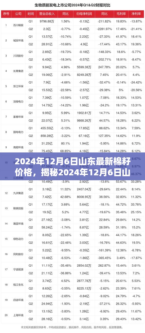 揭秘山东棉籽价格走势，2024年12月6日最新动态与预测分析