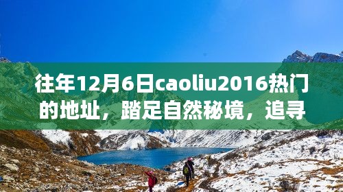 追寻内心平静的十二月六日自然秘境之旅，热门地点caoliu2016回顾