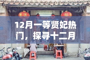 十二月贤妃宝藏，探寻小巷特色小店的独特魅力