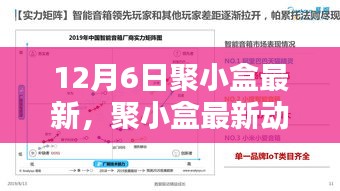 聚小盒最新动态深度解析与观点阐述（12月6日更新）