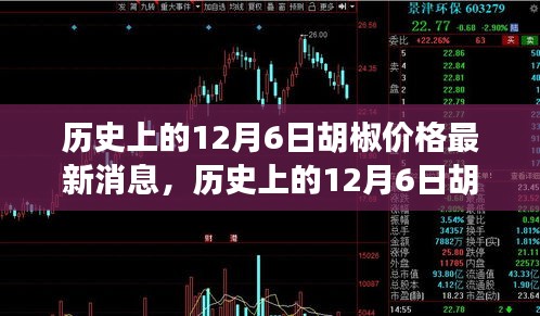 历史上的12月6日胡椒价格动态及最新消息全解析，入门指南