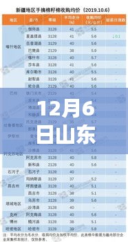 12月6日山东籽棉最新价格动态及行业影响分析