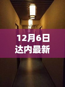 达内最新探访揭秘，小巷深处的独特小店——达内新宠探访之旅（12月6日）