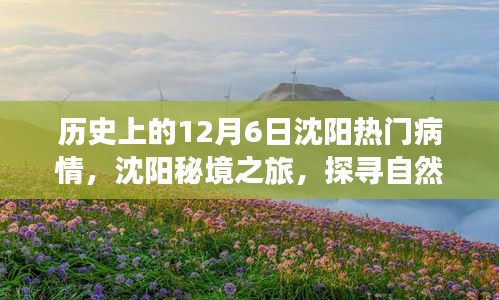 沈阳秘境之旅，探寻自然美景与疫情下的历史记忆