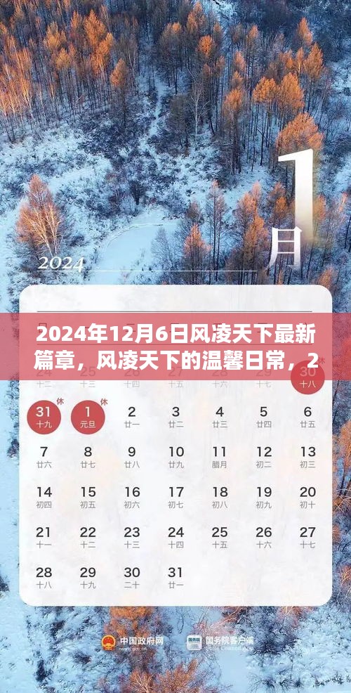 风凌天下最新篇章，温馨日常的特别篇章（2024年12月6日更新）