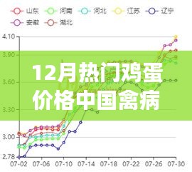 十二月鸡蛋市场风云，中国禽病网揭示鸡蛋价格背后的秘密与温情