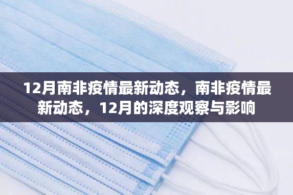 南非疫情最新动态深度观察，12月疫情趋势及其影响分析