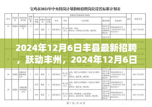 跃动丰州，2024年丰县最新招聘启航，职场学习之旅启程