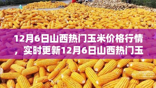 12月6日山西玉米价格行情深度解析及实时更新