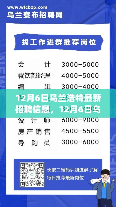 12月6日乌兰浩特最新招聘信息，技能成就职场辉煌