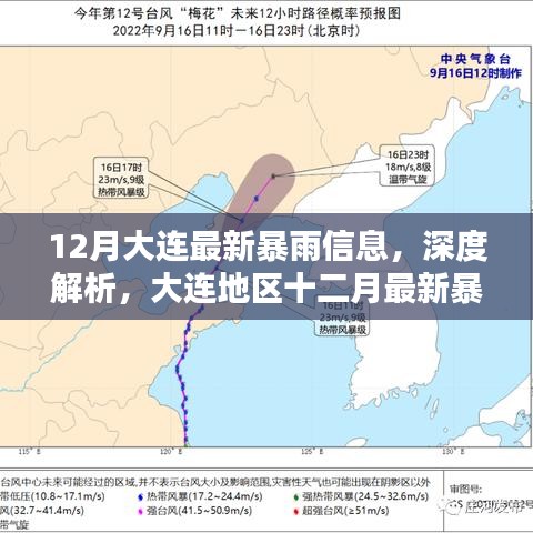 大连十二月最新暴雨信息深度解析与全面评测