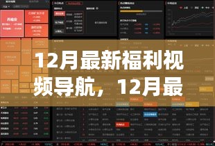 全面评测与介绍，最新福利视频导航指南（12月版）