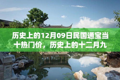 探寻民国通宝当十热门价格的背后故事，历史上的十二月九日回顾与解析