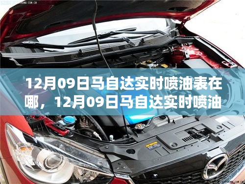 关于马自达实时喷油表位置及相关观点的探讨与讨论