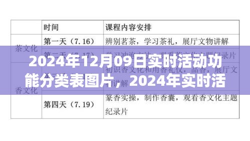 多维视角下的实时活动功能分类表图片解读——以2024年12月09日为例