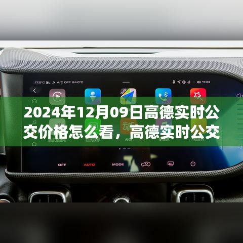 2024年12月09日高德实时公交价格怎么看，高德实时公交价格查询指南，解读2024年公交费用新动态