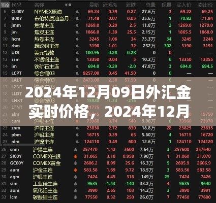 全方位指南，2024年12月09日外汇金实时价格查询与理解，适合初学者至进阶用户