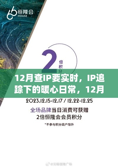 12月实时IP追踪下的暖心友情冒险之旅