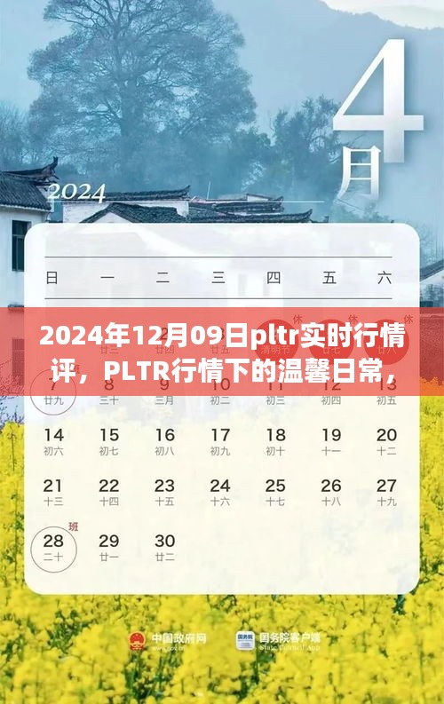 PLTR行情下的温馨日常与奇妙冒险，2024年12月09日实时行情评析