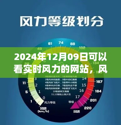 掌握风云，实时风力监测网站全面评测与推荐（2024年）