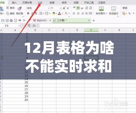 探究12月表格无法实时求和的背后原因、影响及重要性