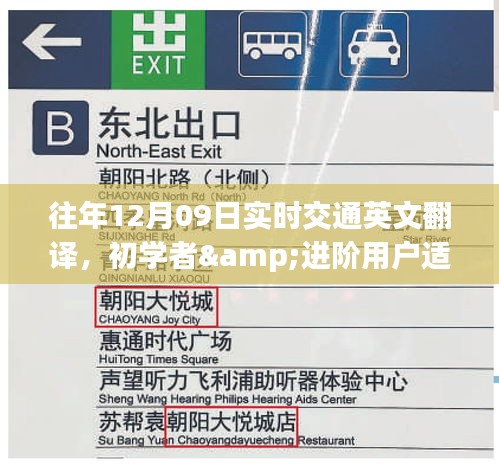 往年12月09日实时交通英文翻译初学者与进阶用户指南，步骤详解与实用技巧