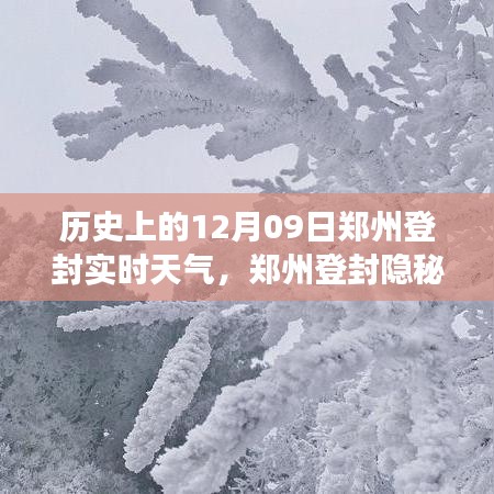 关于我们 第242页