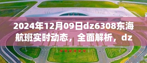 独家解析，2024年12月9日dz6308东海航班实时动态及乘客体验分享