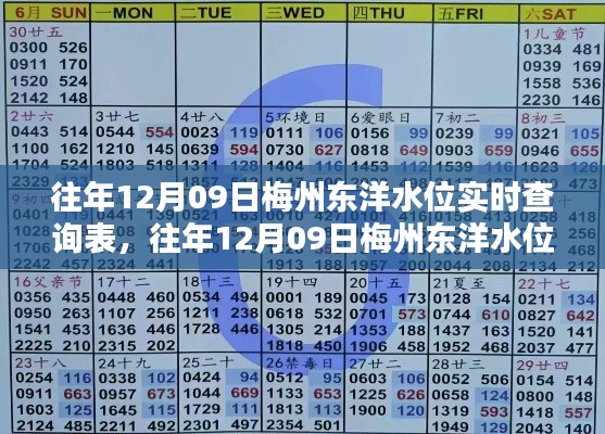 往年12月09日梅州东洋水位实时查询表，详细步骤指南及水位数据概览