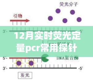 揭秘十二月实时荧光定量PCR常用探针秘籍，小红书分享指南