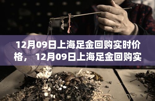 上海足金回购实时价格解析，黄金市场动态观察报告（12月09日）